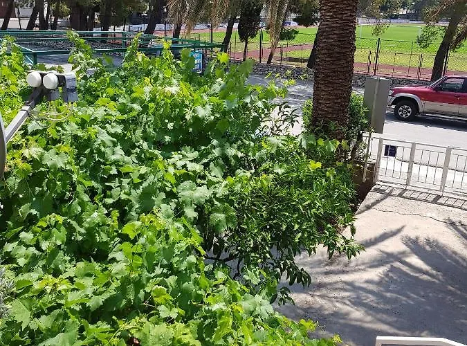 With Parking Space - 16521 דירה